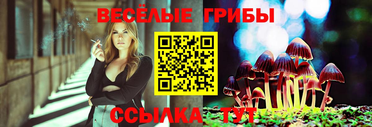 Псилоцибиновые грибы Psilocybe  Вход с VPN  Краснознаменск 