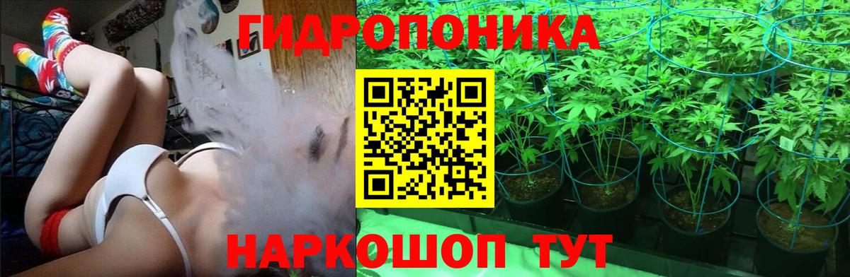 Канабис ГИДРОПОН  Каннабис VHQ  Краснознаменск  Бошки Шишки гибрид  Вход с VPN 
